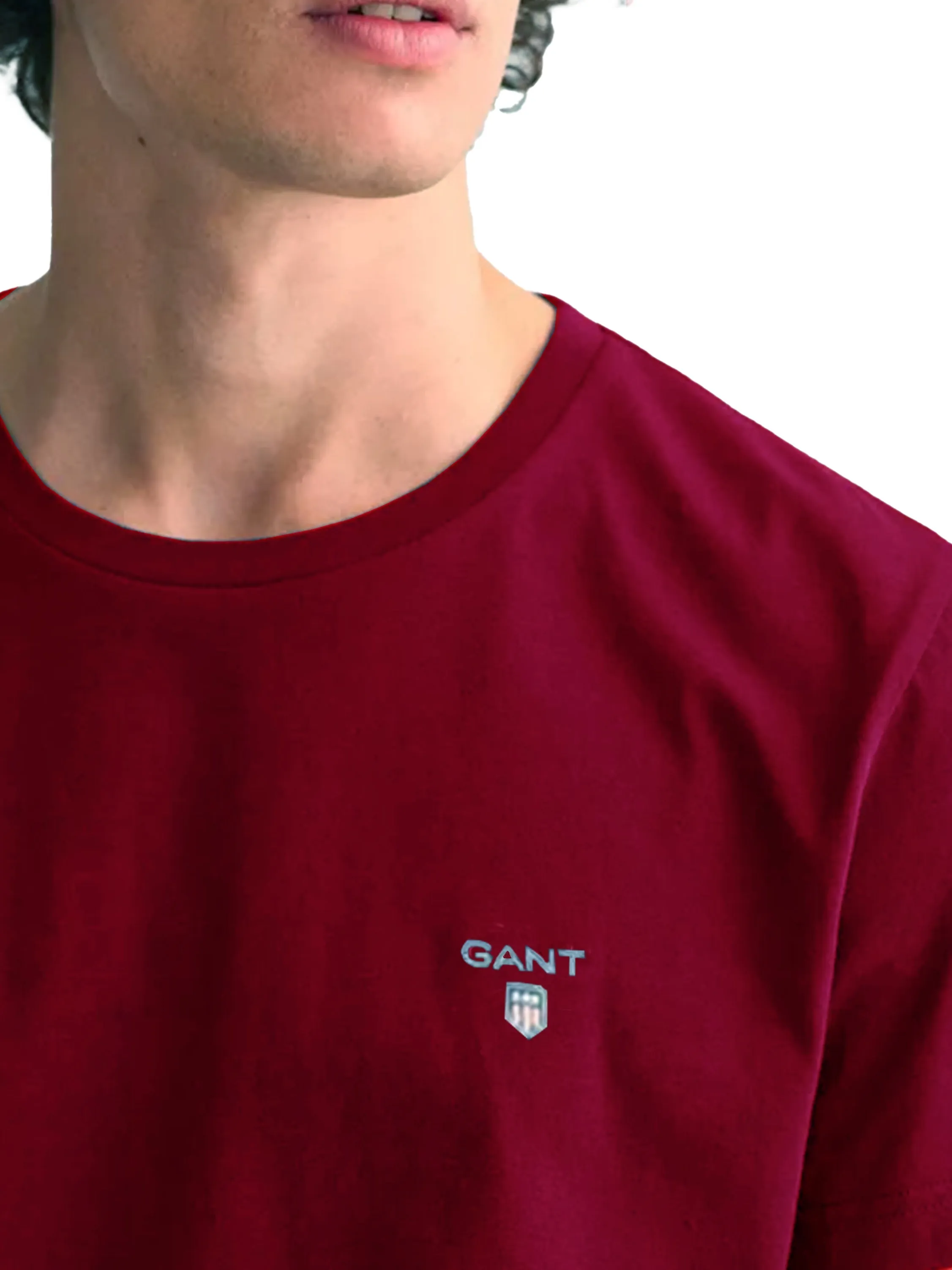 Gant Mens Original T-Shirts