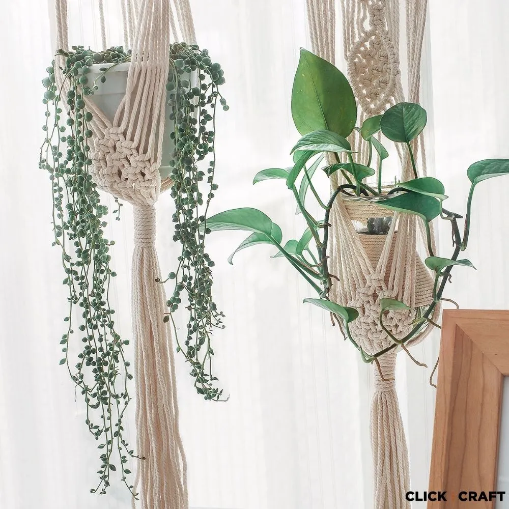 Medium Plant Hanger 2