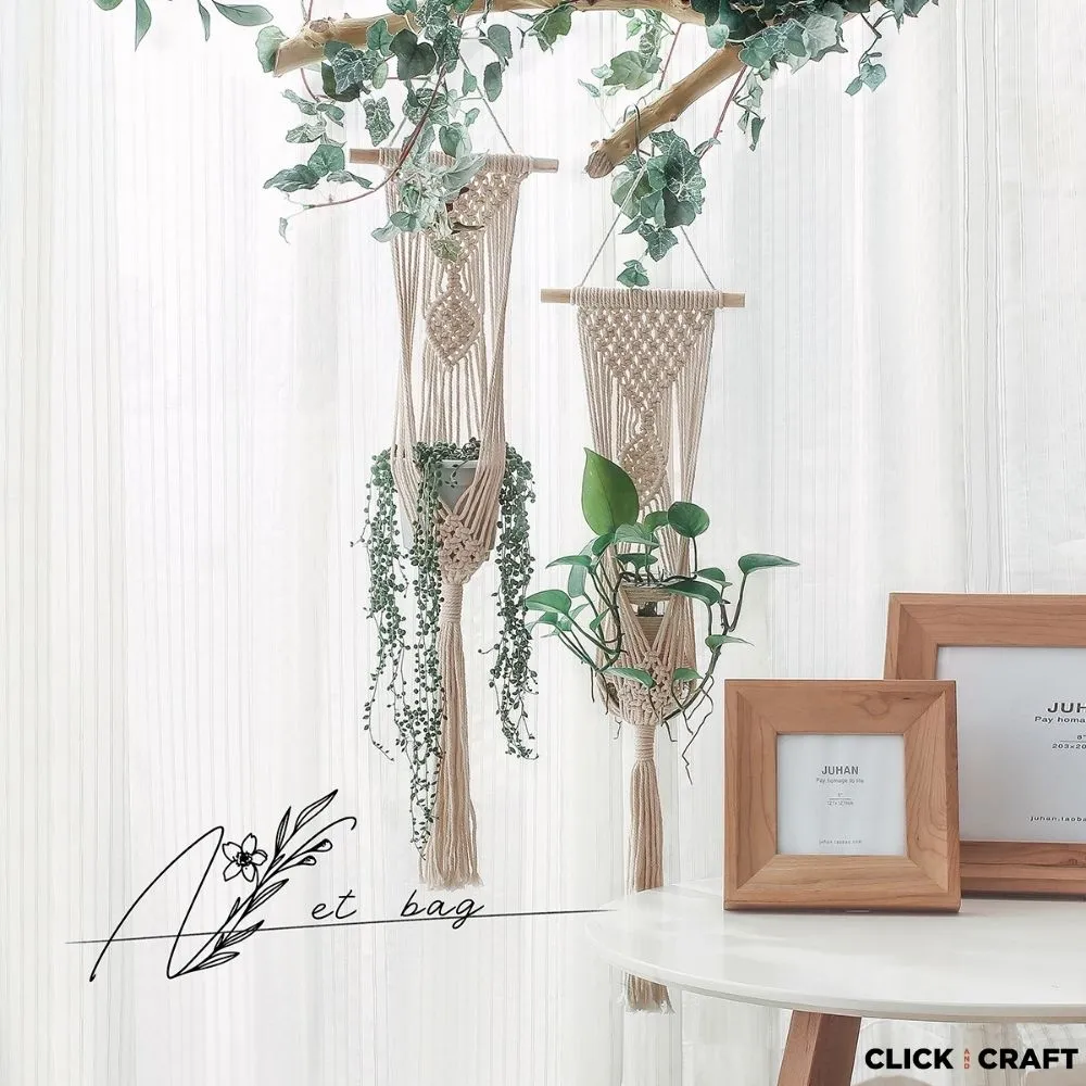 Medium Plant Hanger 2