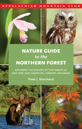 Nature Guide to the Northern Forest